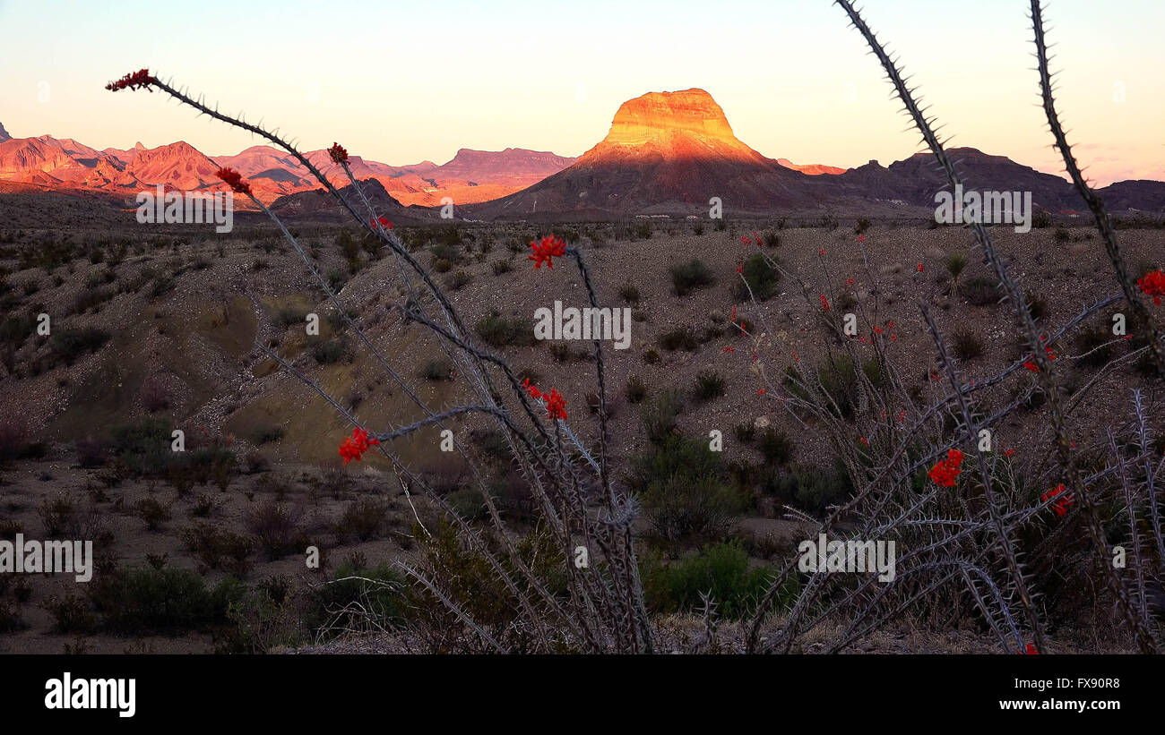 Desert landscape at sunset in Big Bend National Park in Texas Stock Photo