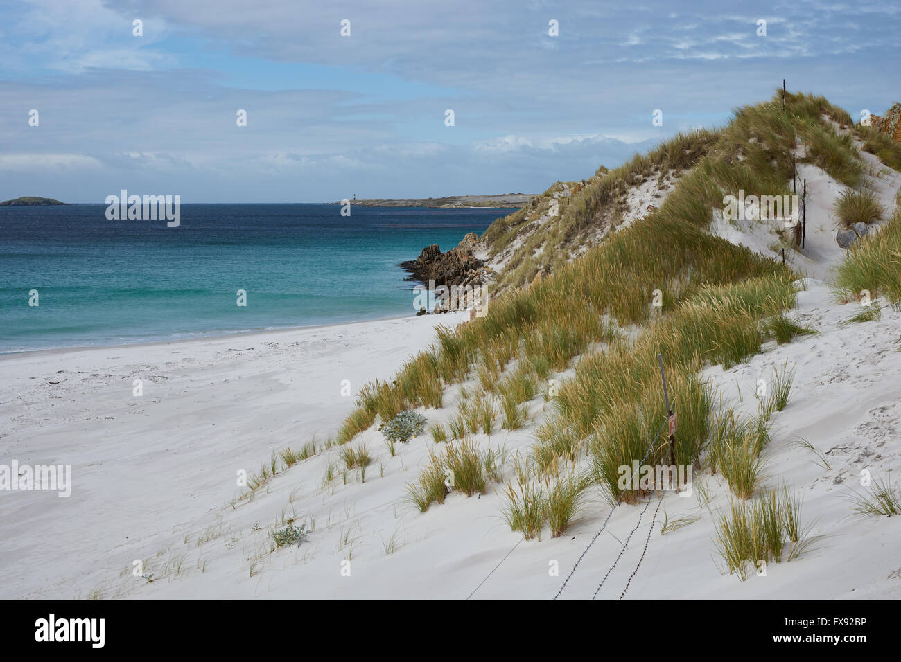 White sandy beach in Yorke Bay close to Stanley, capital of the Falkland Islands. Stock Photo