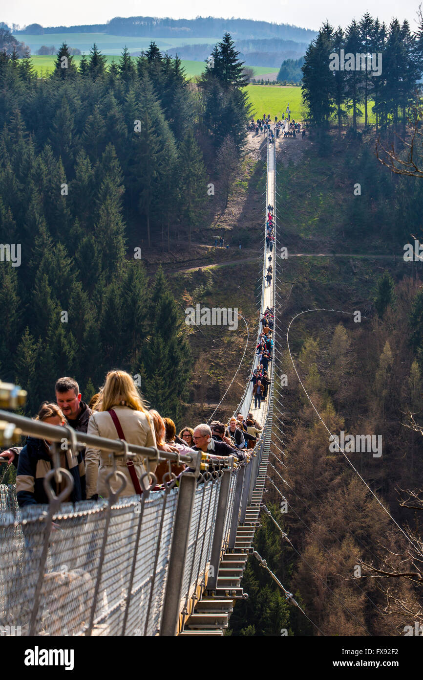 Suspension bridge Geierlay, between villages Mörsdorf and Sosberg, 360