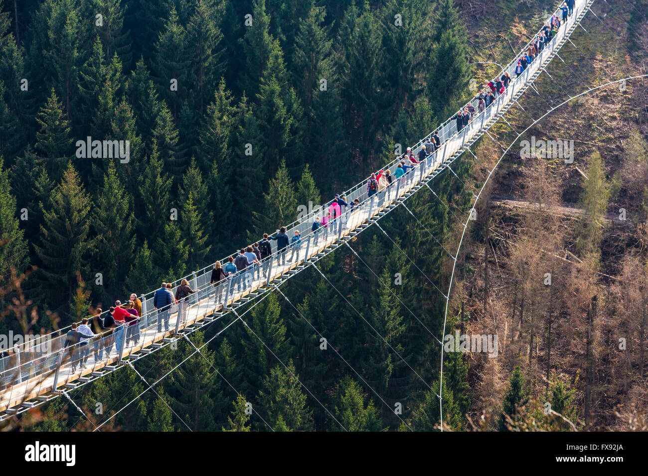 Suspension bridge Geierlay, between villages Mörsdorf and Sosberg, 360  meters in length, longest suspension bridge in Germany Stock Photo - Alamy