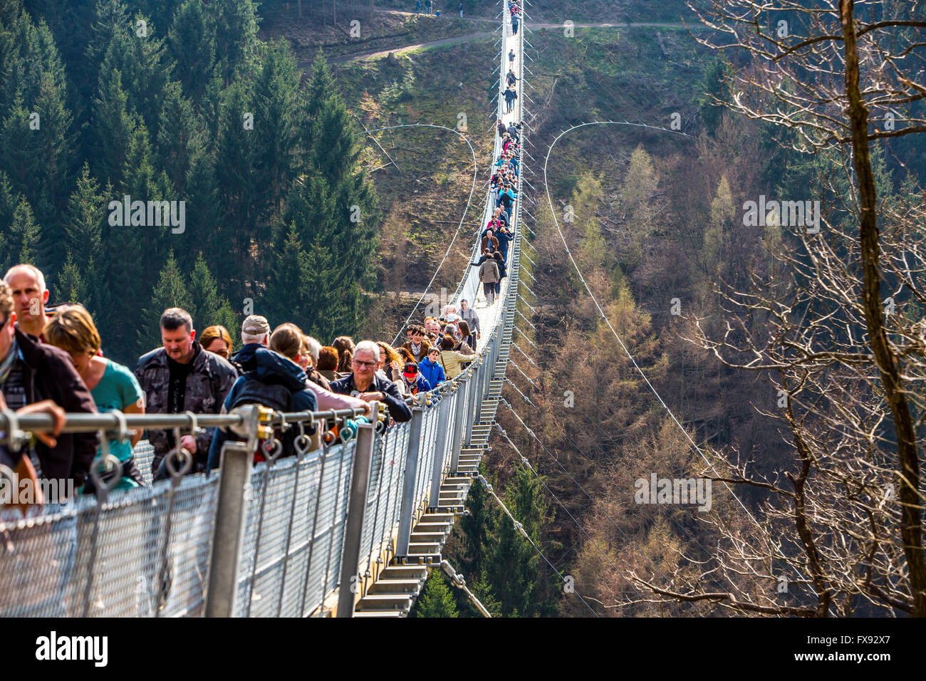 Suspension bridge Geierlay, between villages Mörsdorf and Sosberg, 360