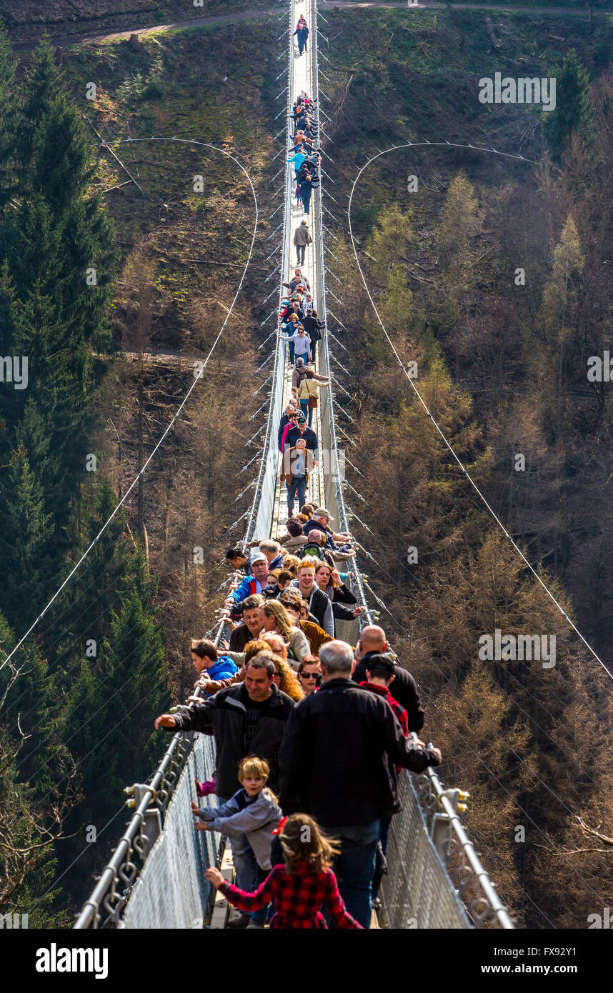 Suspension bridge Geierlay, between villages Mörsdorf and Sosberg, 360