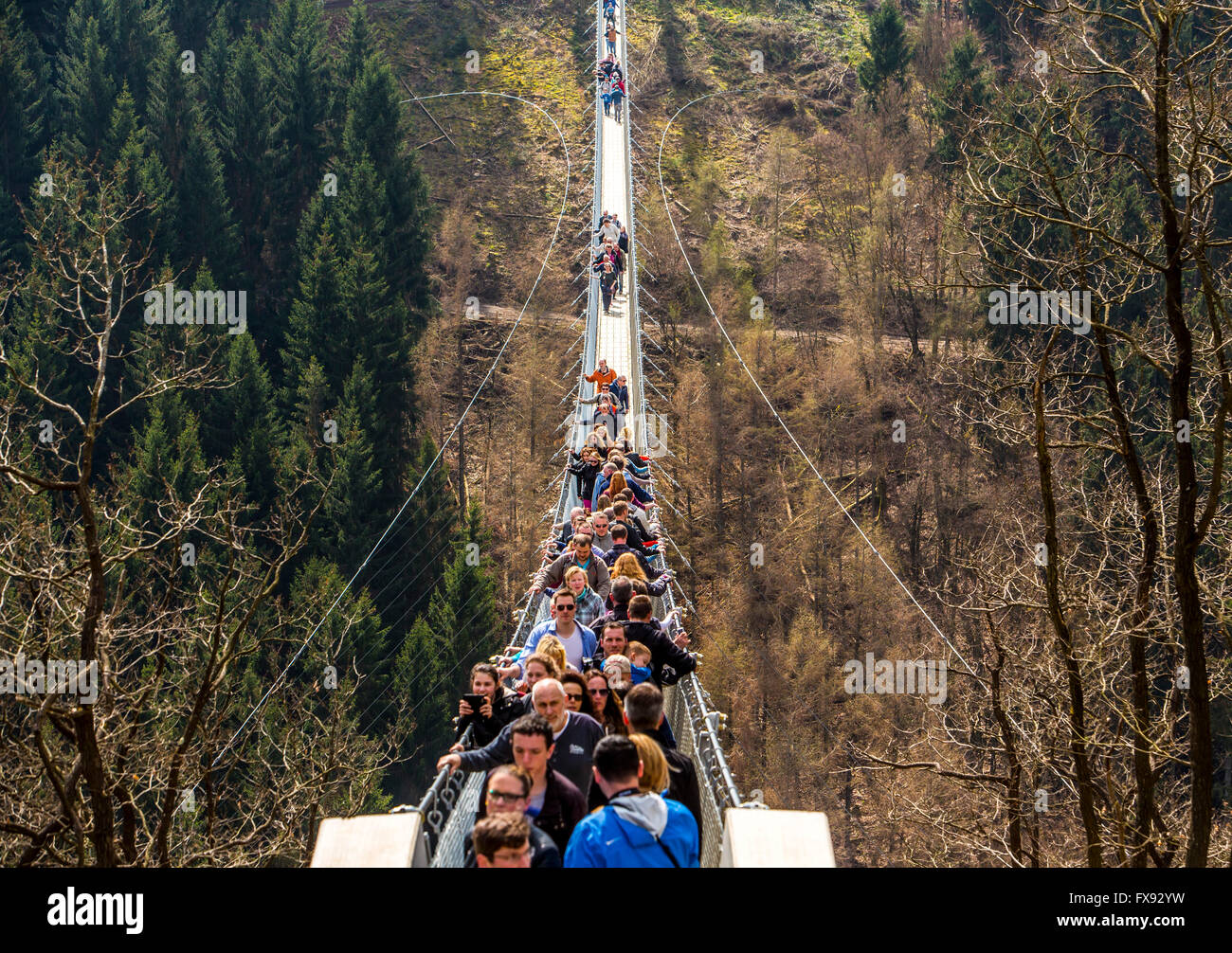 Suspension bridge Geierlay, between villages Mörsdorf and Sosberg, 360 ...