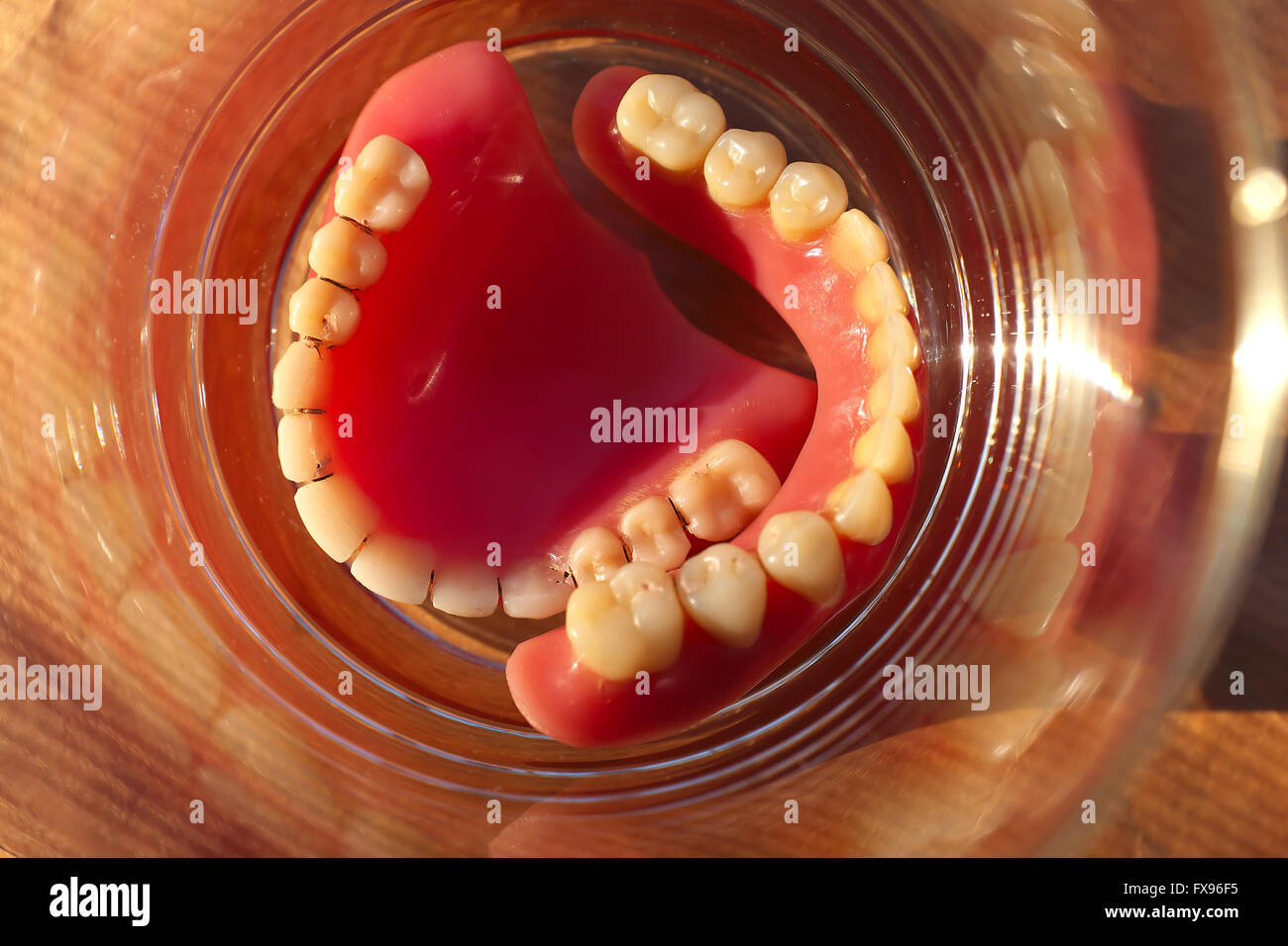 dirty denture jaw gum teeth in glass, medical unhygienic concept, colorful background in natural sunlight Stock Photo