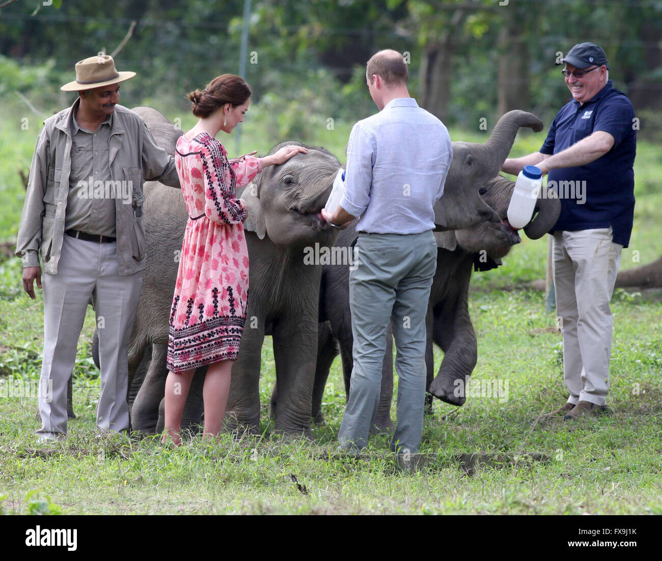 Guwahati, Assam, India. 13th April, 2016. A handout picture, dated 13 April 2016, shows Prince William (2nd R) and Dutchess Kate (2nd L) feeding elephants at the rehabilitation centre for wild animals in Guwahati, Assam, India. The centre is run by IFAW (International Fund for Animal Welfare) Wildlife Trust for India (WTI) and the regional forest agency Assam (AFD). The British royal couple is on a one-week trip visiting India and Bhutan. Credit:  dpa picture alliance/Alamy Live News Stock Photo