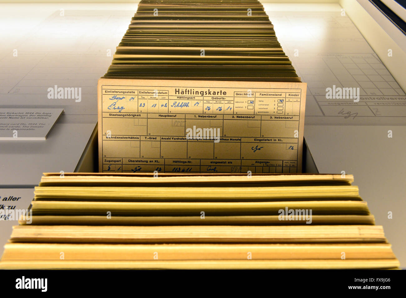 Prisoner cards from the 1944 central file can be seen in the new