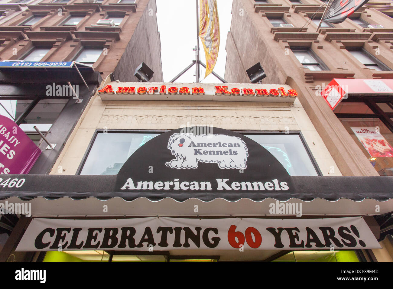 American Kennels pet shop, Lexington Avenue, New York City, United