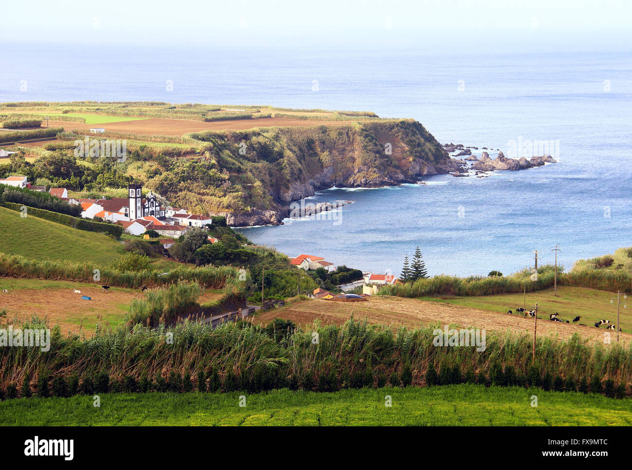 Tea plantation and small village of Porto Formoso, Sao Miguel island, Azores, Portugal Stock Photo