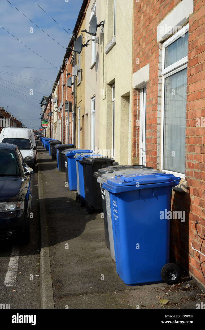 Household waste collection bins are a permanent sight on the footpath in Havelock Road