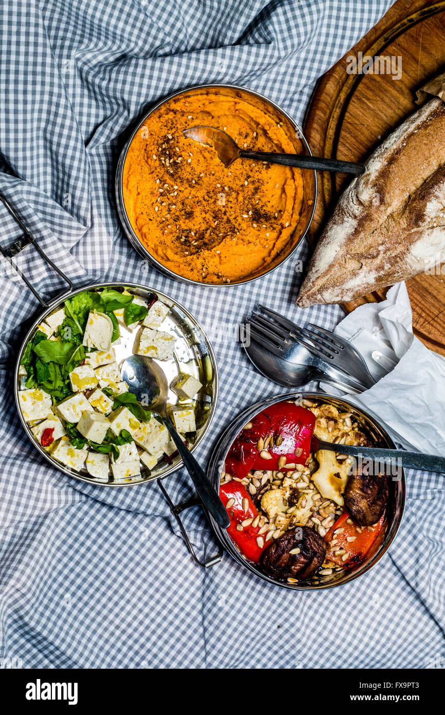Roast veggies, carrot hummus, and tofu with herbs in steel lunch boxes on picnic blanket. Top