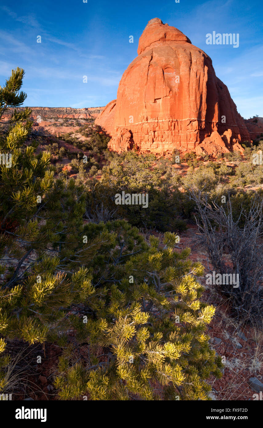 Thoreau, new mexico hires stock photography and images Alamy