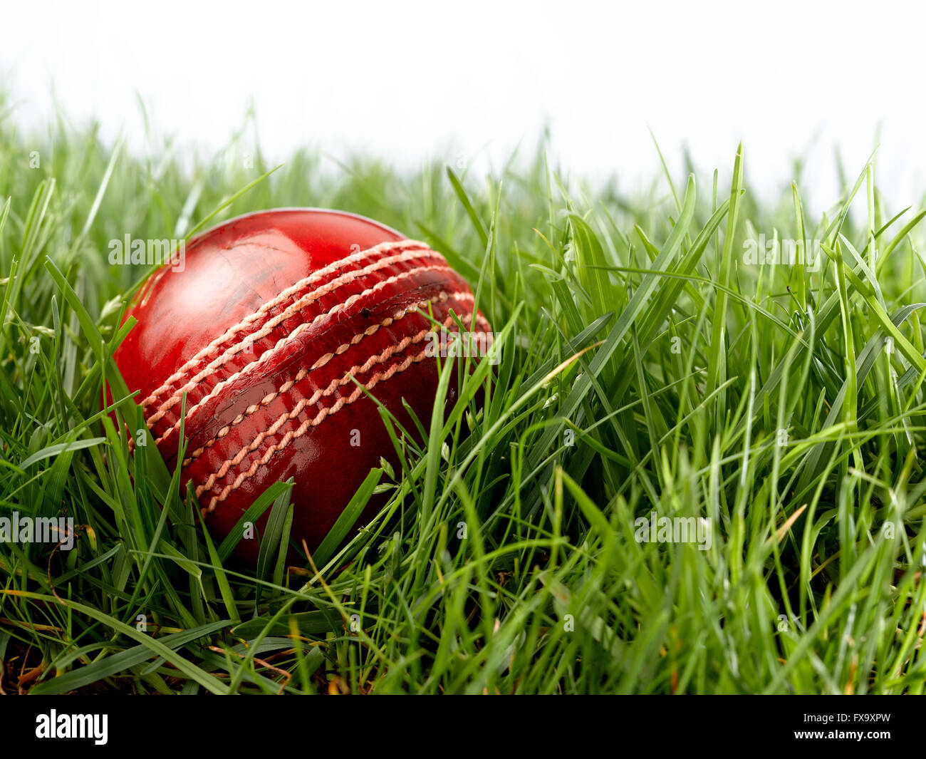 Red Leather Cricket Ball Stock Photo Alamy