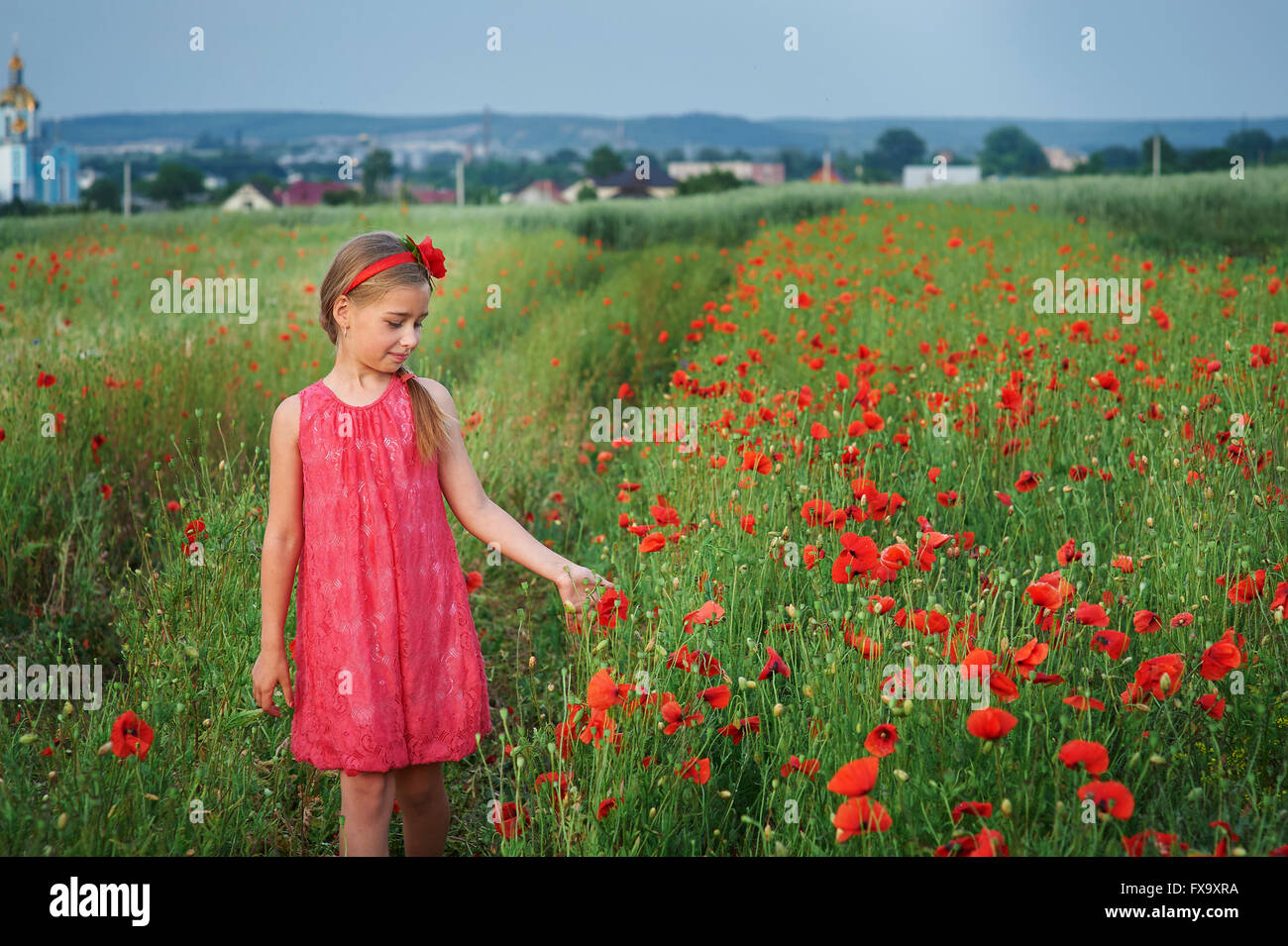 cute girl in red dress walks at poppy field Stock Photo - Alamy