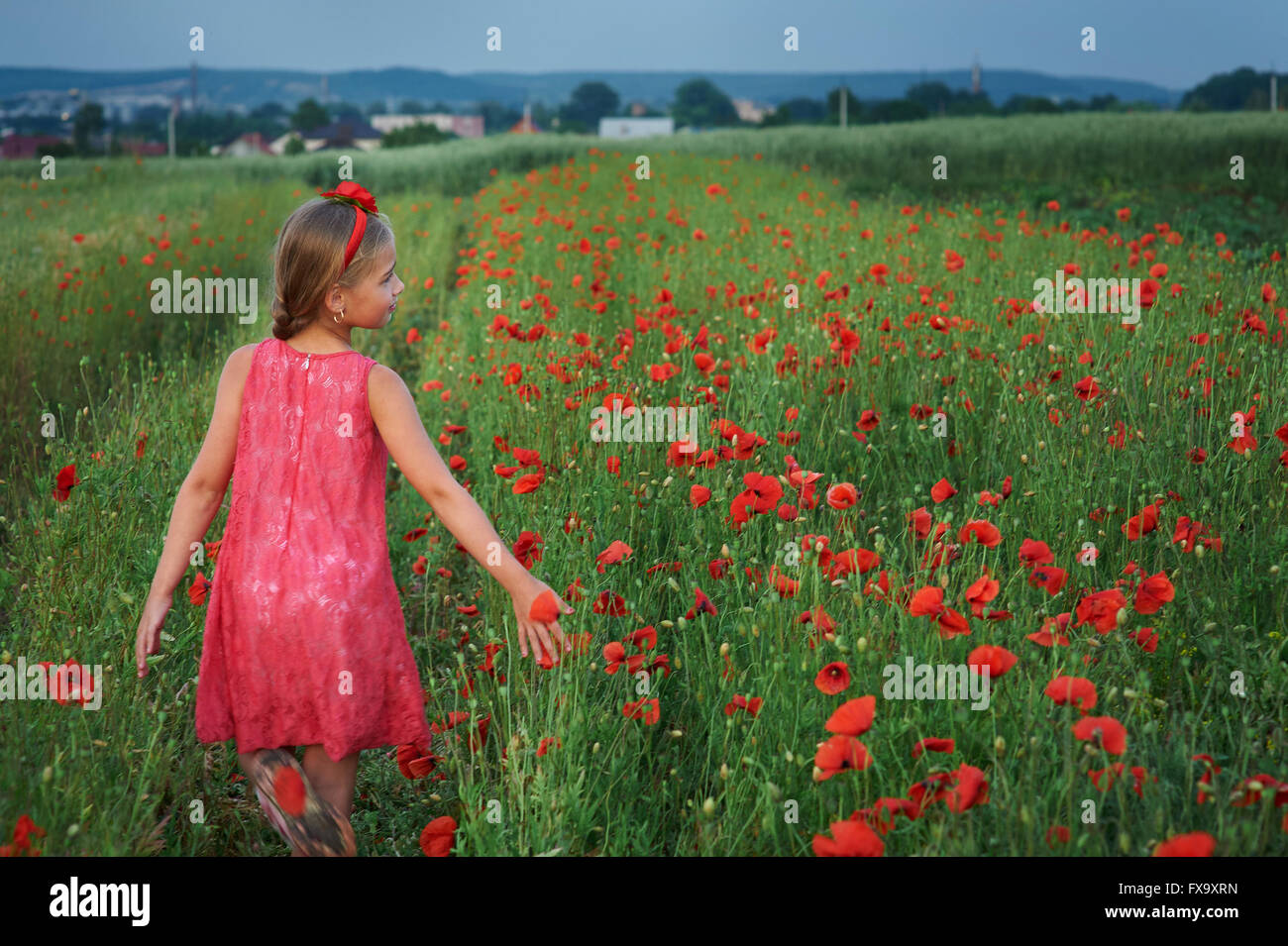 cute girl in red dress walks at poppy field Stock Photo - Alamy