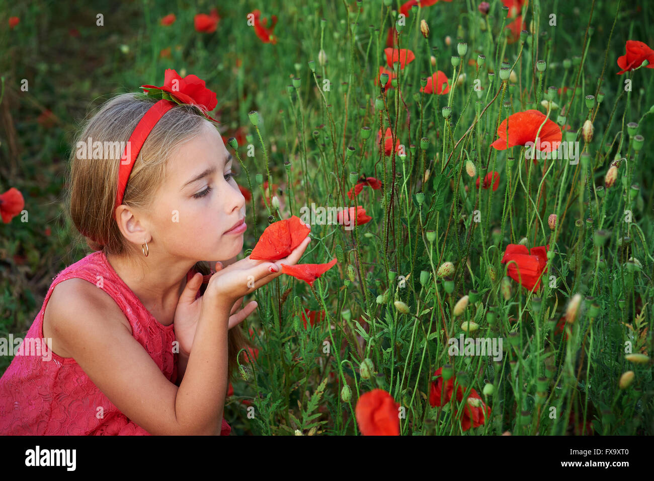 cute girl in red dress walks at poppy field Stock Photo - Alamy