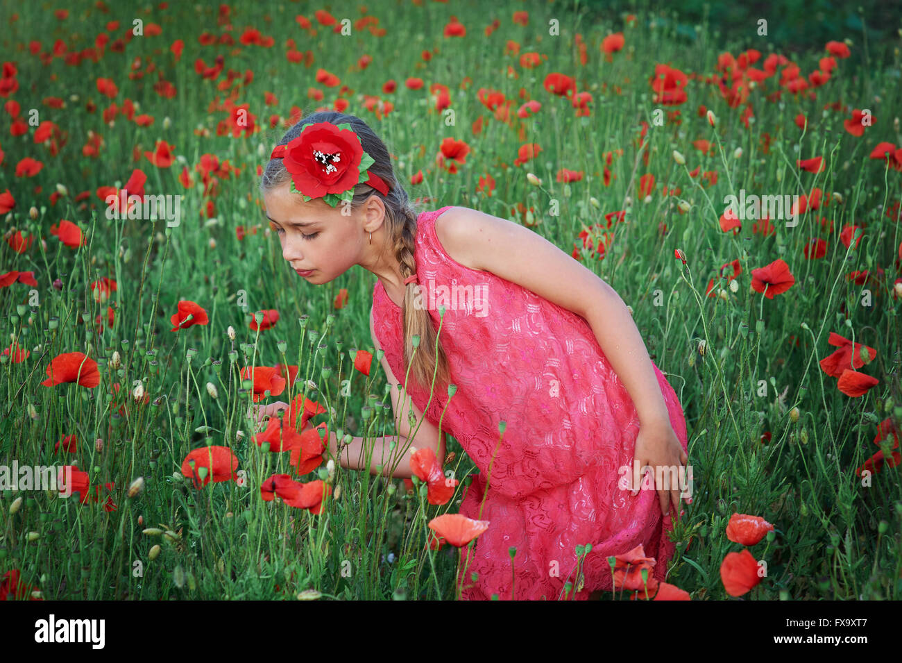 girl in red dress walks at poppy field Stock Photo - Alamy