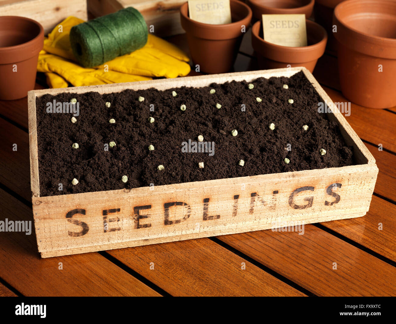 seedling box with soil Stock Photo Alamy