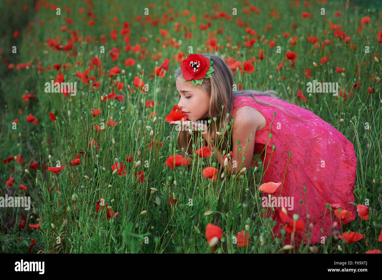 beautiful girl in red dress walks at poppy field Stock Photo - Alamy