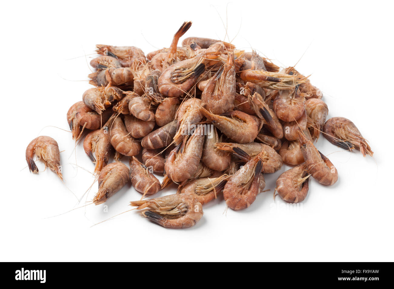 Heap of unpeeled brown shrimps on white background Stock Photo