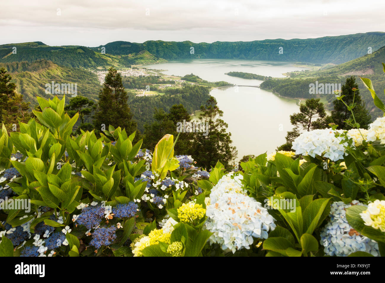 Caldera of Sete Cidades with its two lakes, Sao Miguel island, Azores. Hydrangea flowers in foreground. Stock Photo