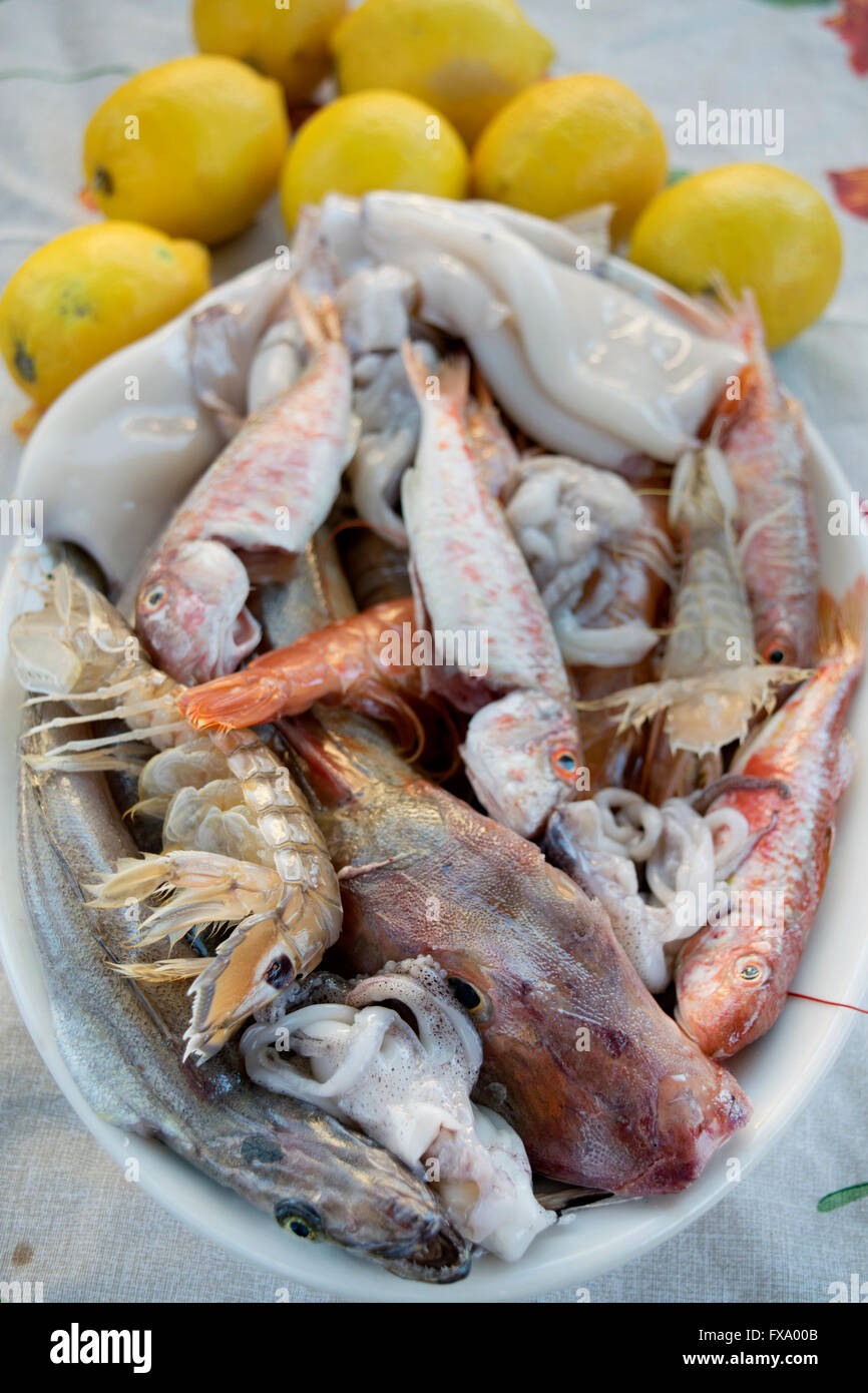 assortment of bluefish to prepare a sea soup with fish mixed Stock Photo