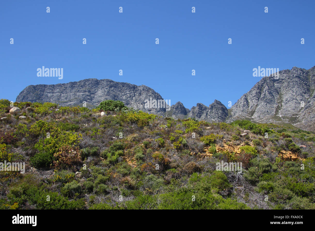 Cape Ranges Mountains mountain range western cape, South Africa Stock Photo - Alamy