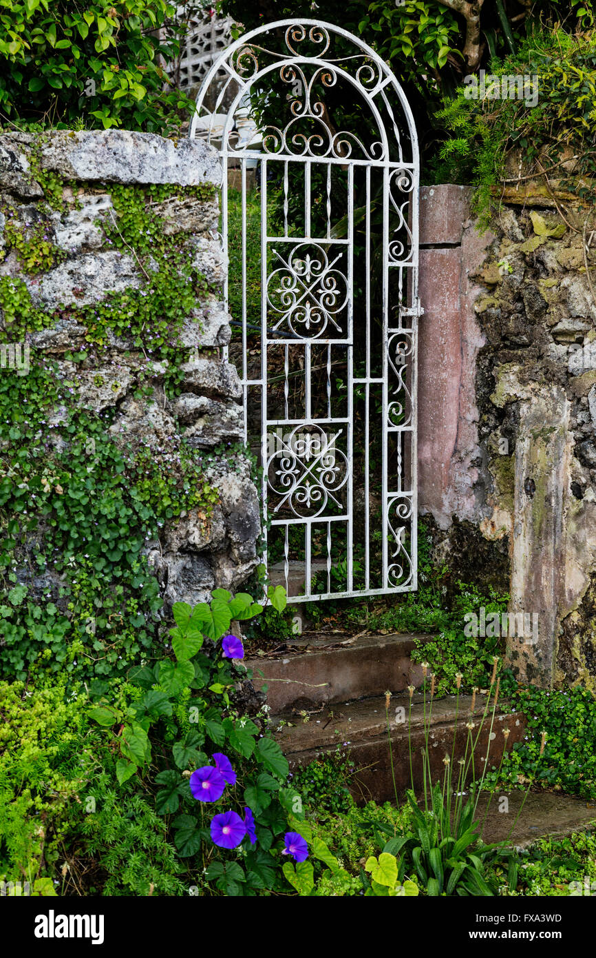 Garden gate to a secret garden. Stock Photo