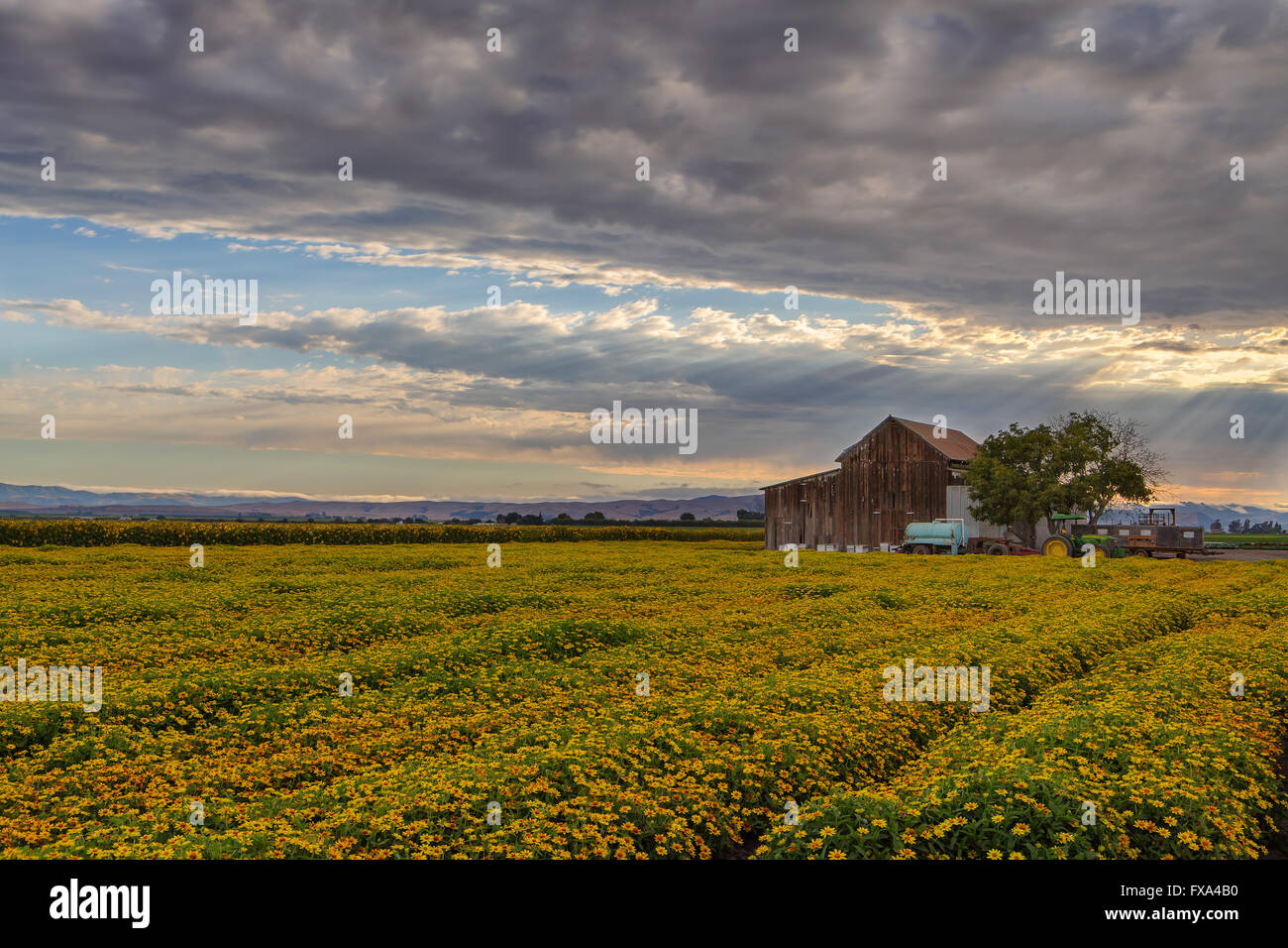 Lenticular rays hi-res stock photography and images - Alamy