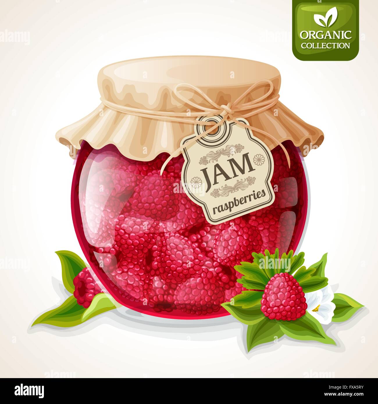 Raspberry jam jar Stock Vector