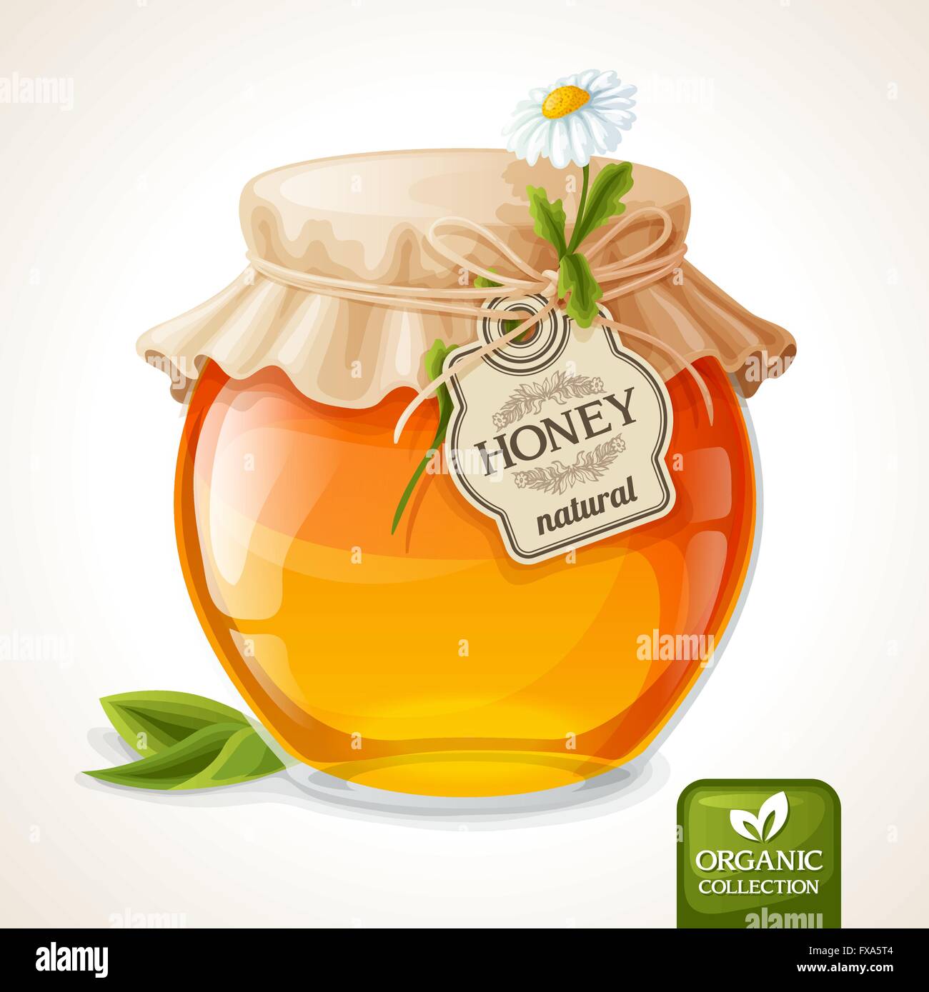 Honey jar glass Stock Vector