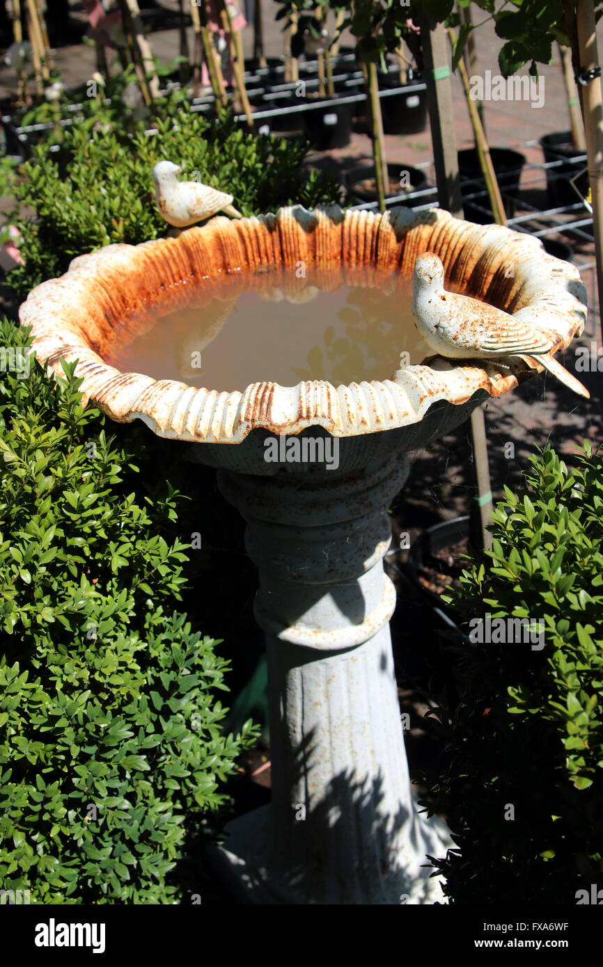 Rustic bird bath, one commonly garden feature uses in a garden Stock Photo