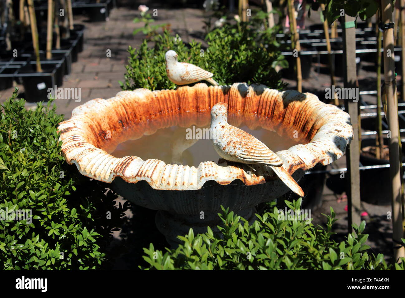 Rustic bird bath, one commonly garden feature uses in a garden Stock Photo