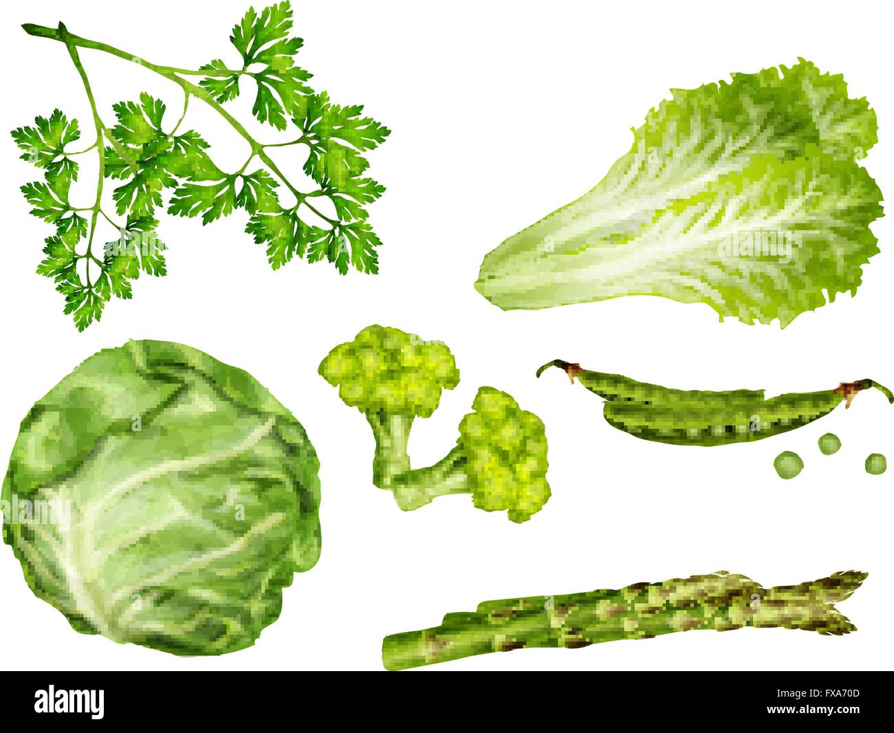 Green vegetables set Stock Vector Image & Art - Alamy