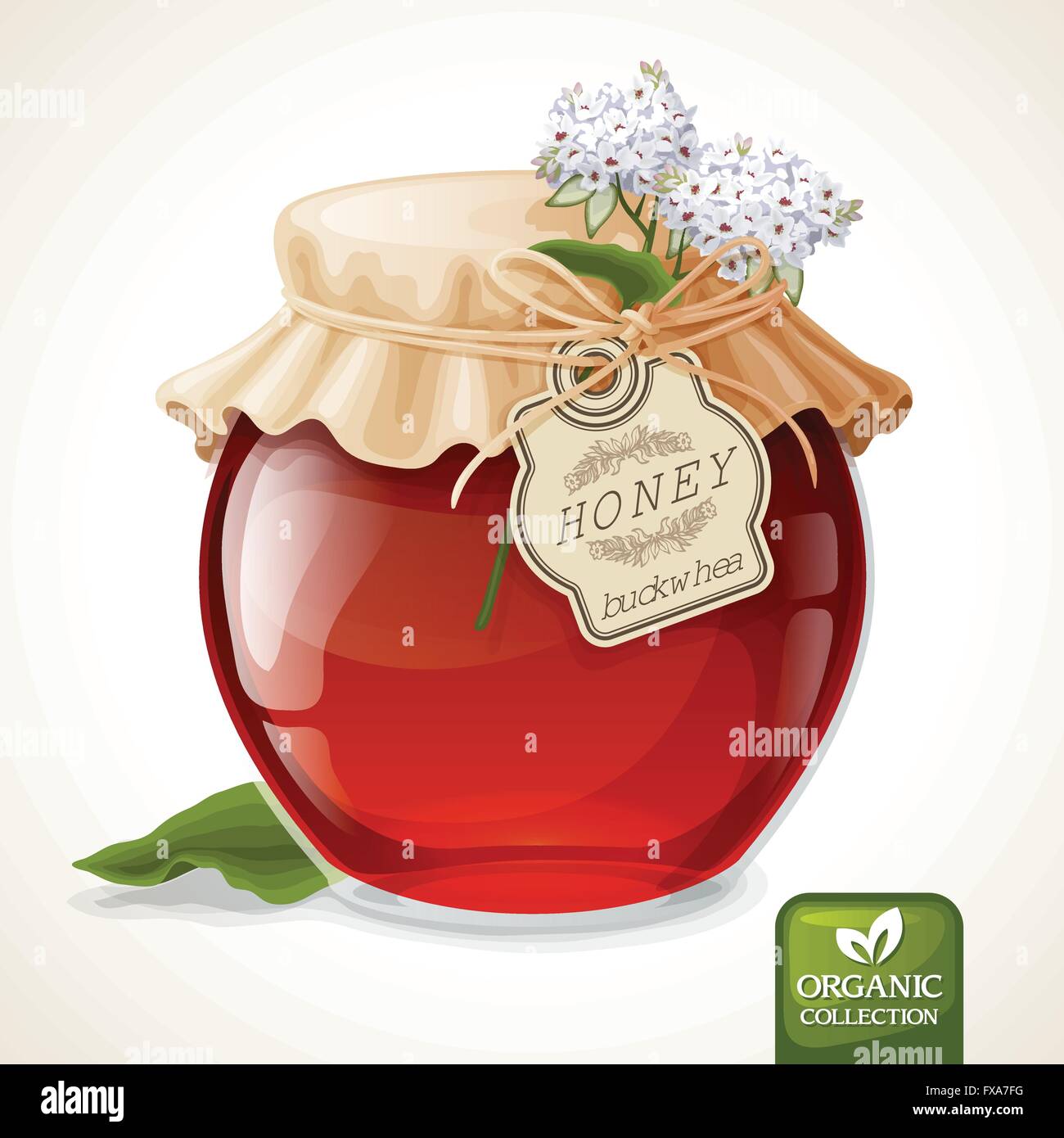 Buckwheat honey jar Stock Vector
