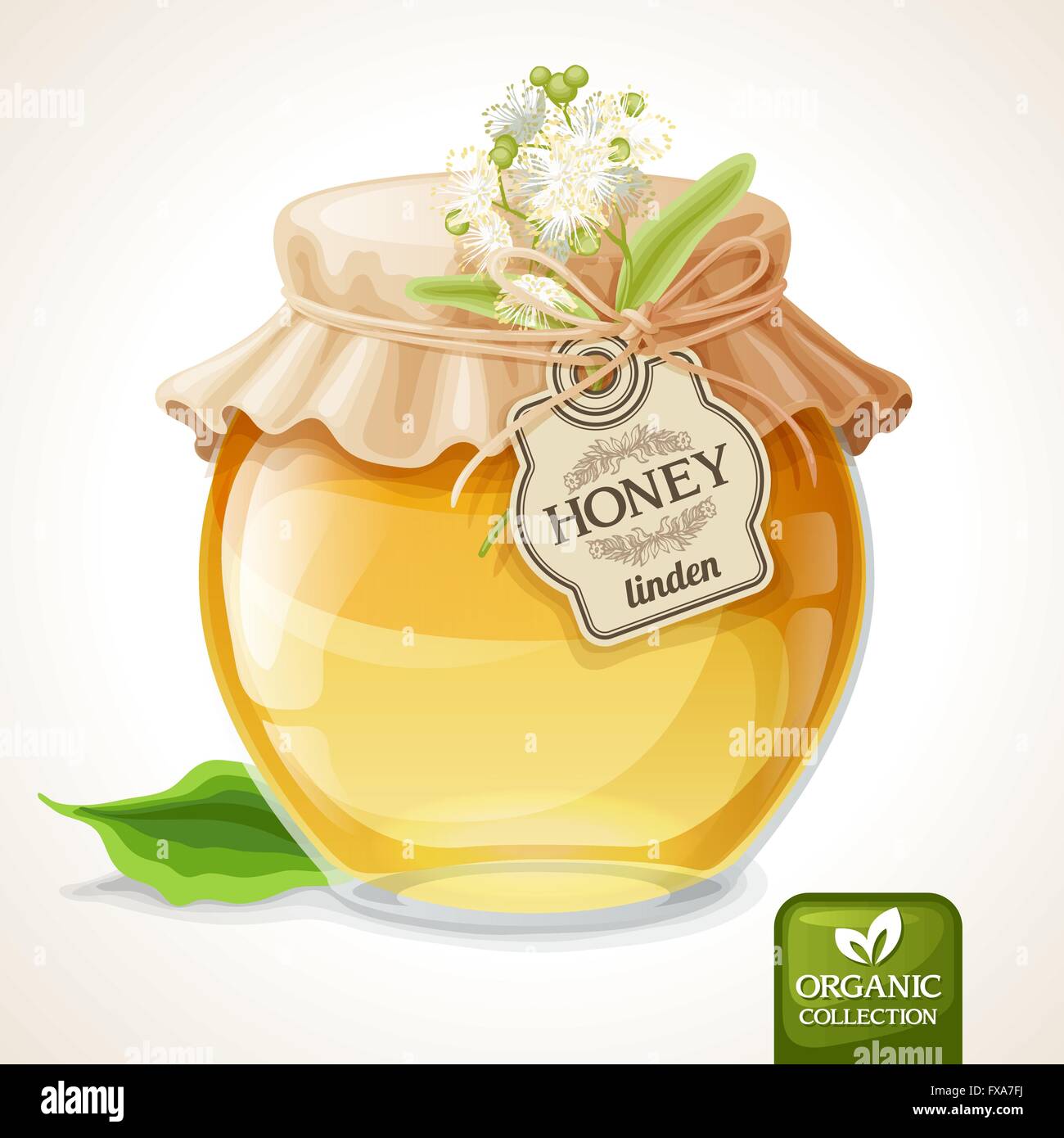 Linden honey jar Stock Vector