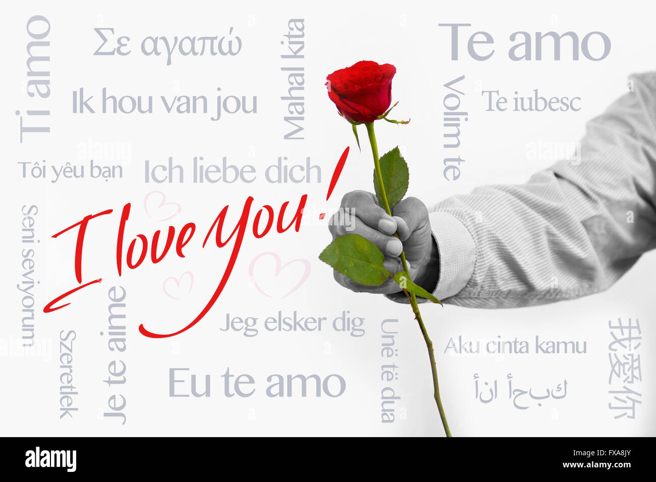 Rose in hand with the word I love you in 18 languages Stock Photo