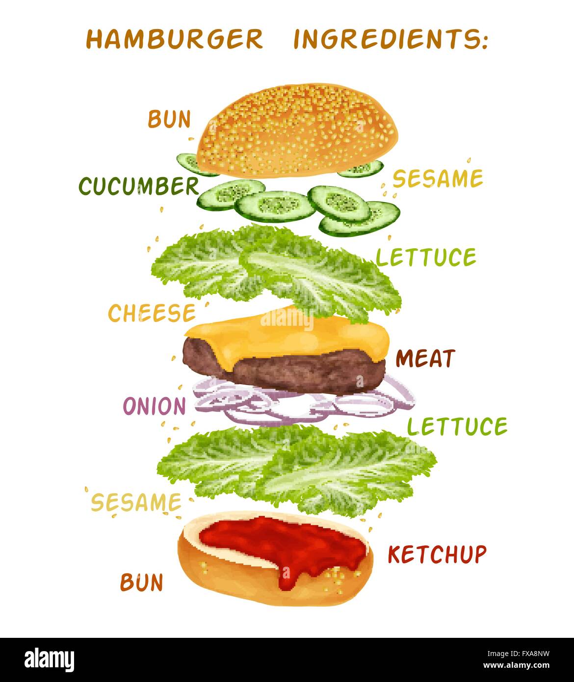 Hamburger ingredients set Stock Vector Image & Art Alamy