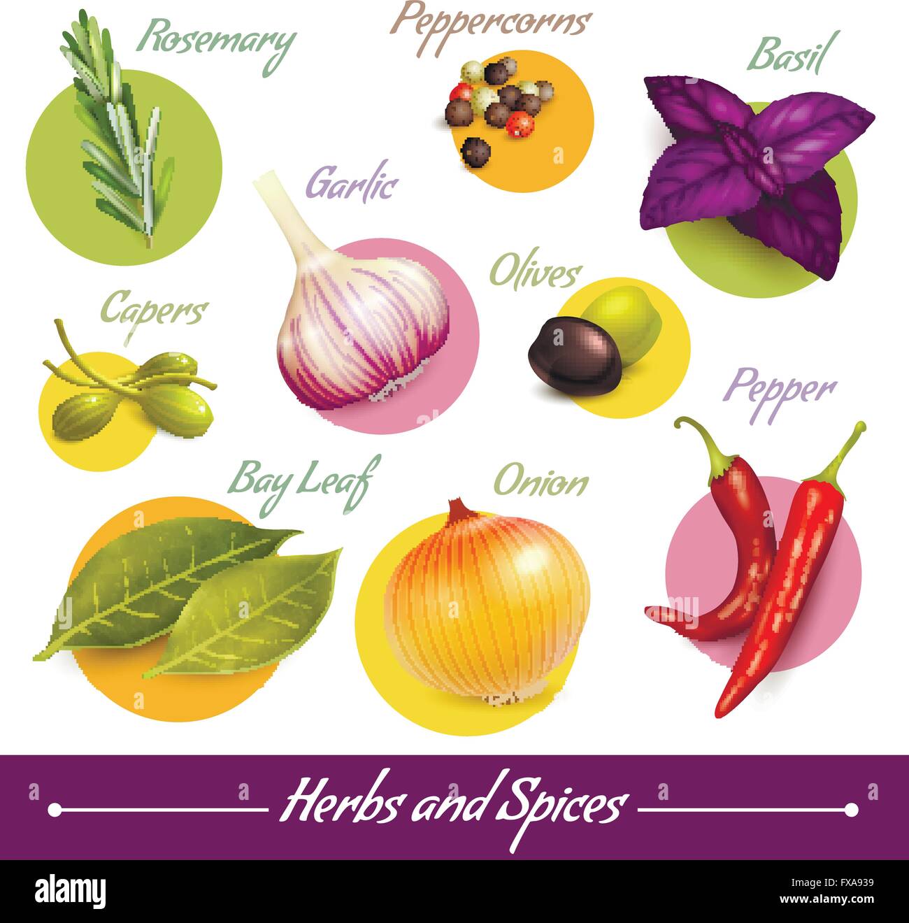 Herbs and spices set Stock Vector Image & Art Alamy