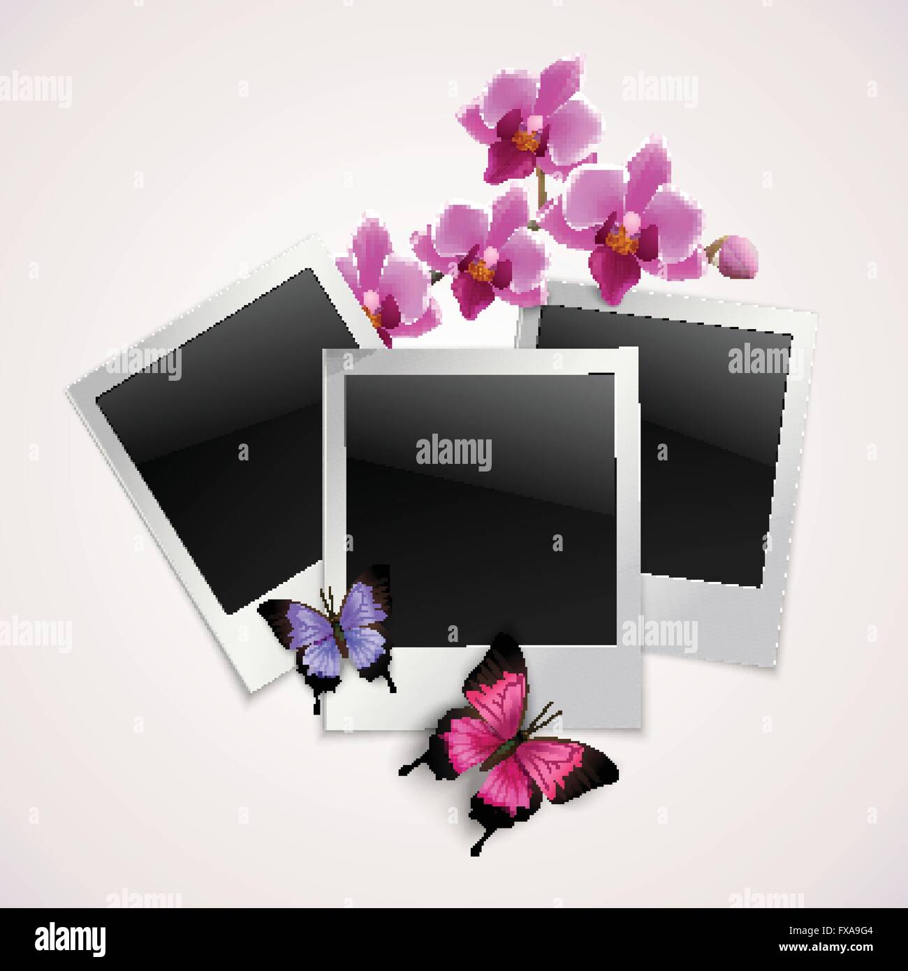 Butterflies photo frames Stock Vector Image & Art - Alamy