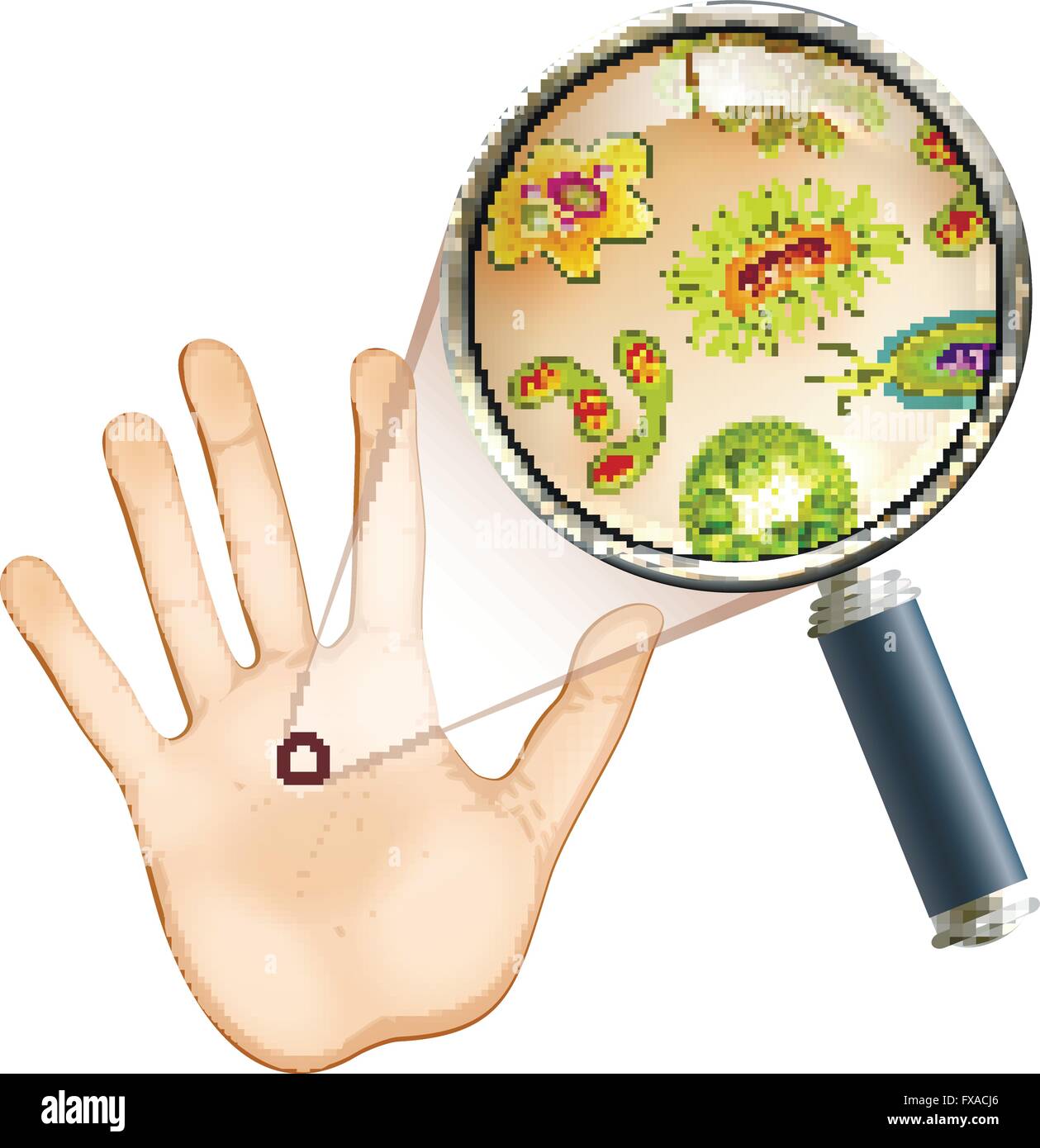 microscopic germs on hands