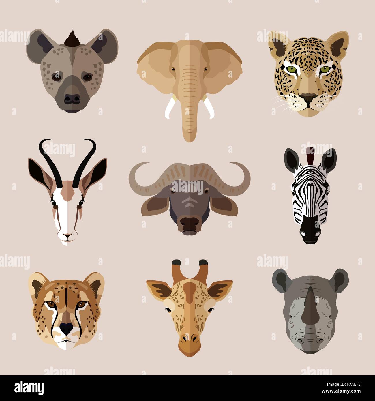 Animal portrait flat icon set Stock Vector Image & Art - Alamy