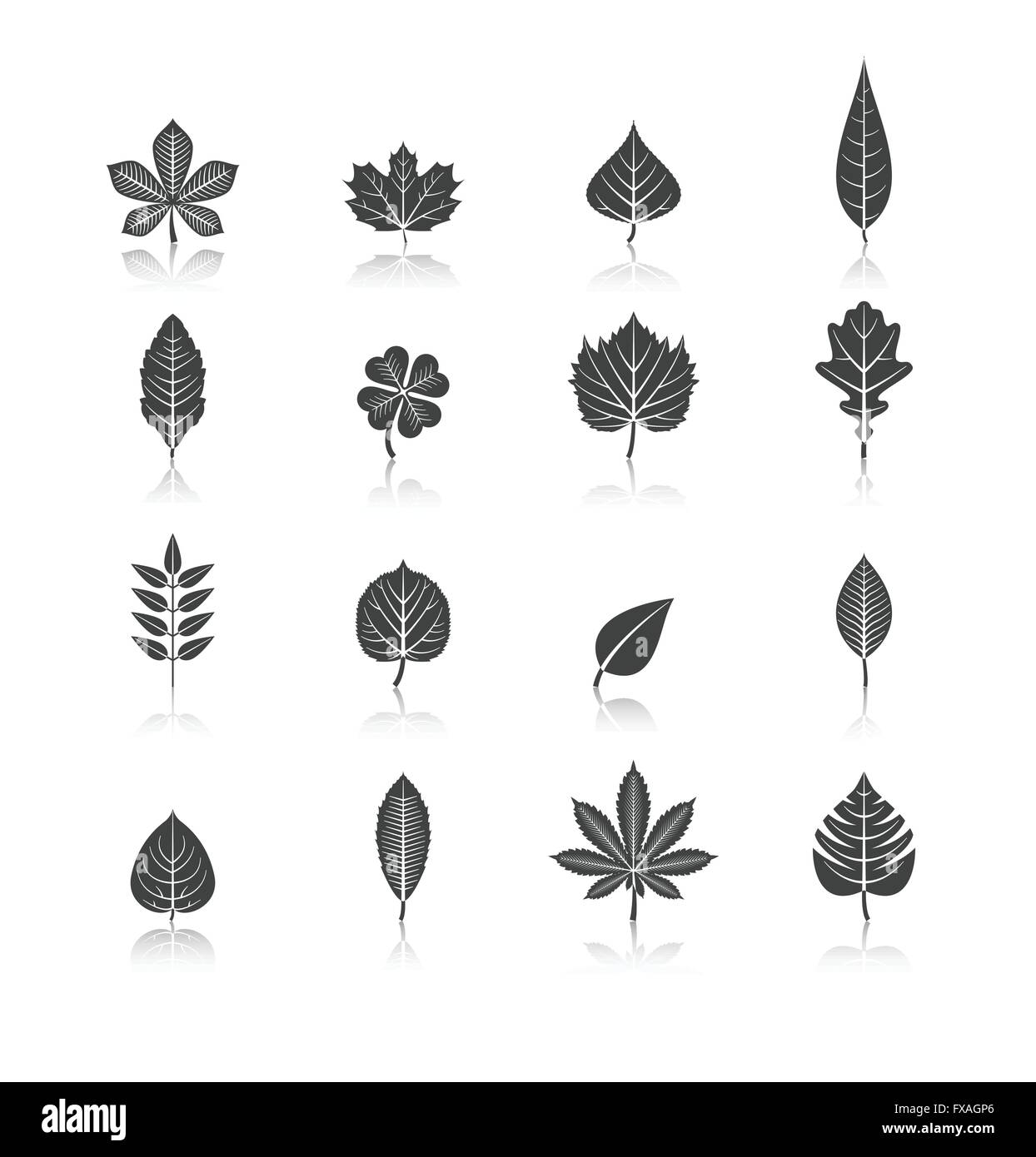 Plant Leaves Black Icons Set Stock Vector Image & Art - Alamy