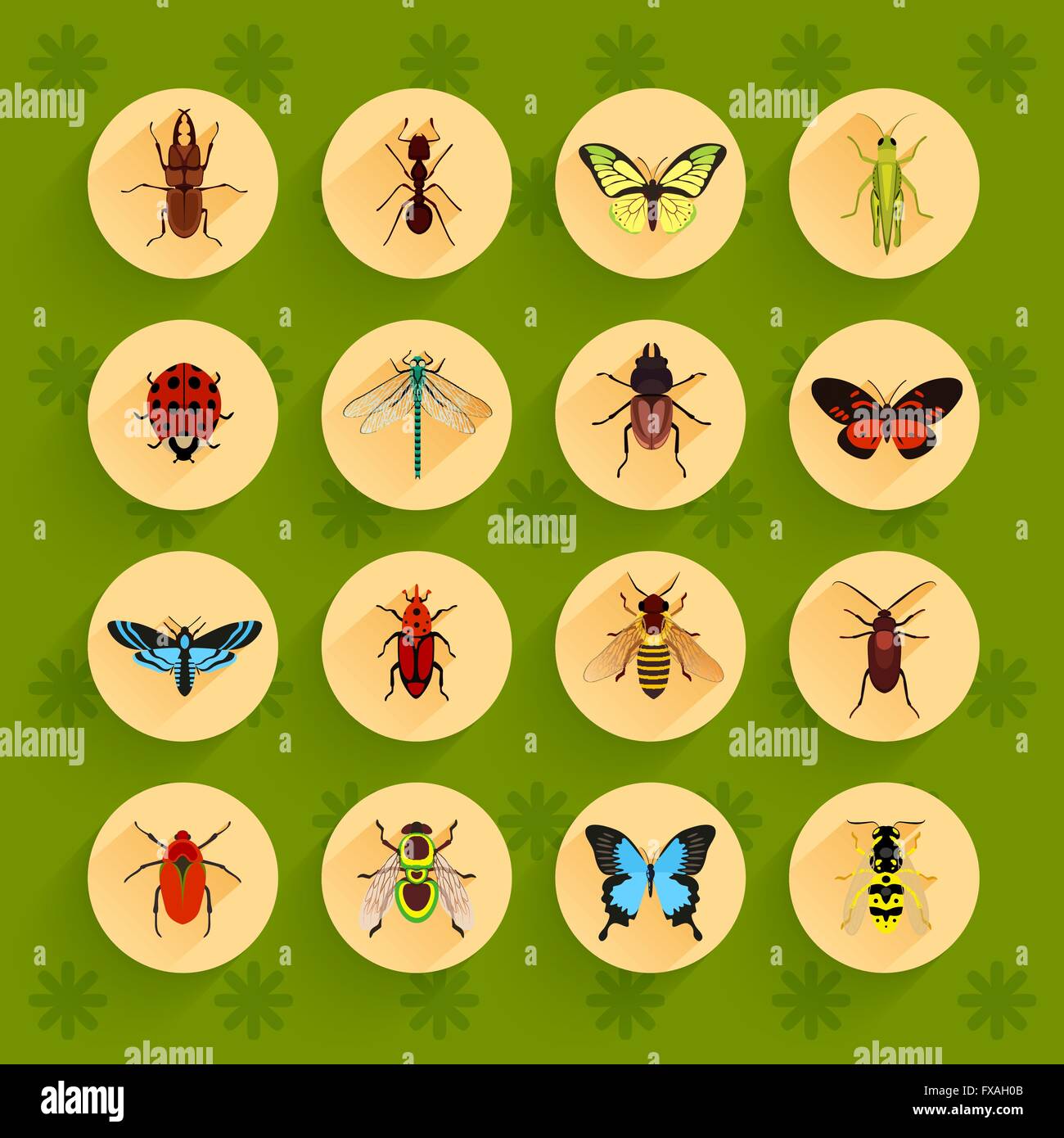 Wasp spider web Stock Vector Images - Alamy