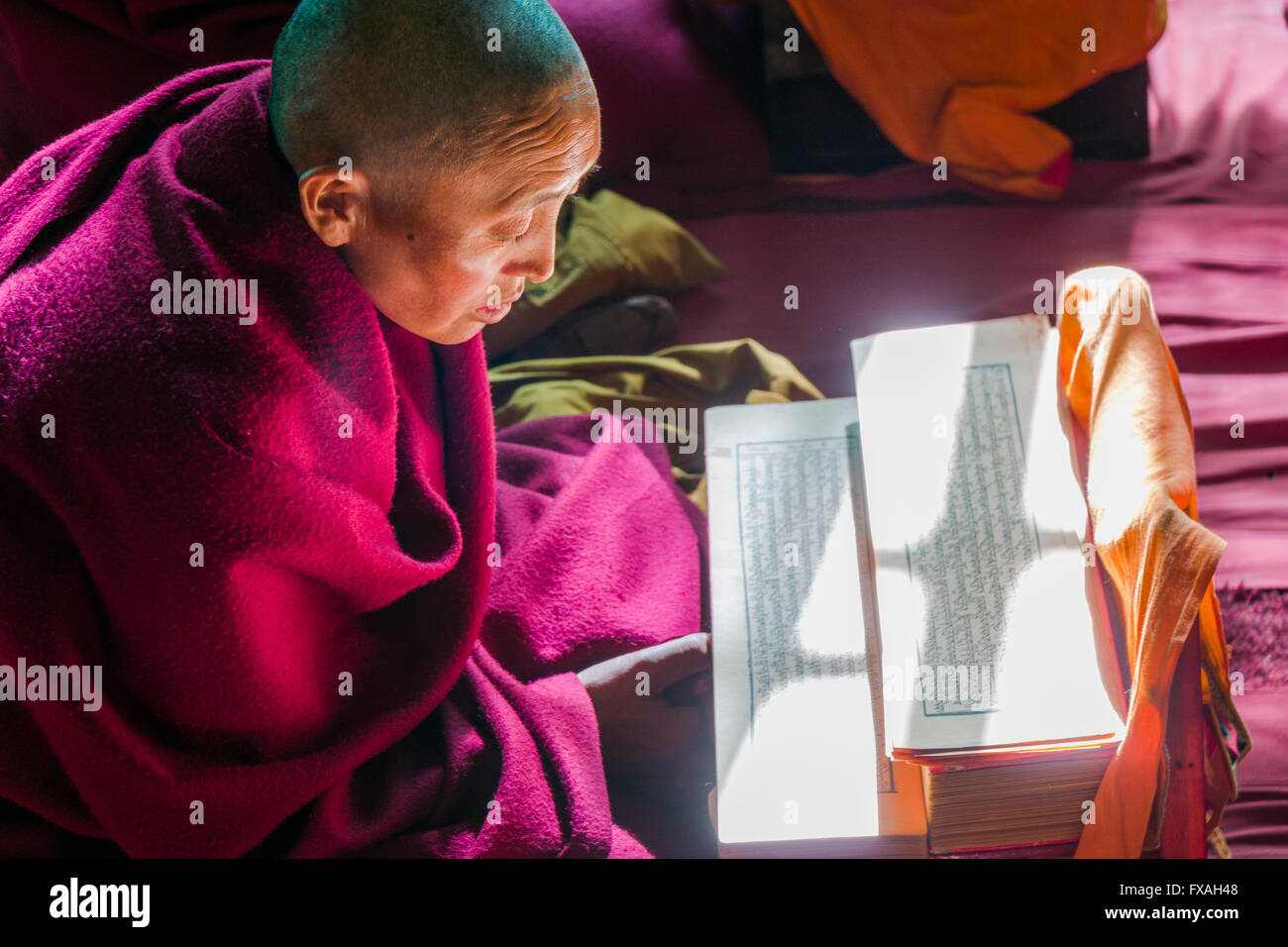 A monk is reading a prayer book inside the monastery Thupten Chholing Gompa, Junbesi, Solo Khumbu, Nepal Stock Photo