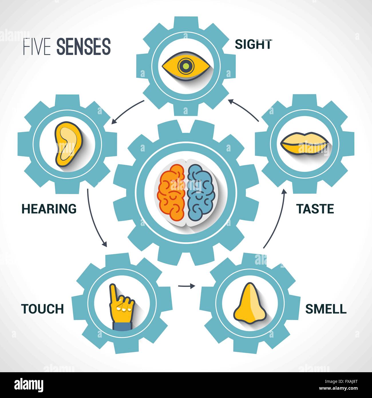 Five senses concept Stock Vector