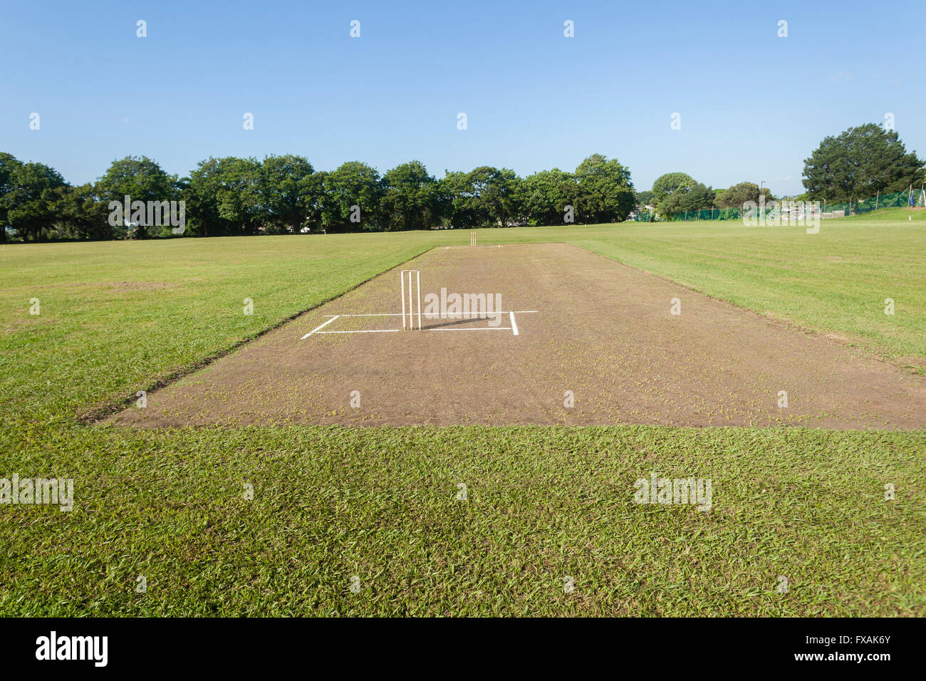 Cricket batsman teenager closeup action photo game bat ball game Stock Photo