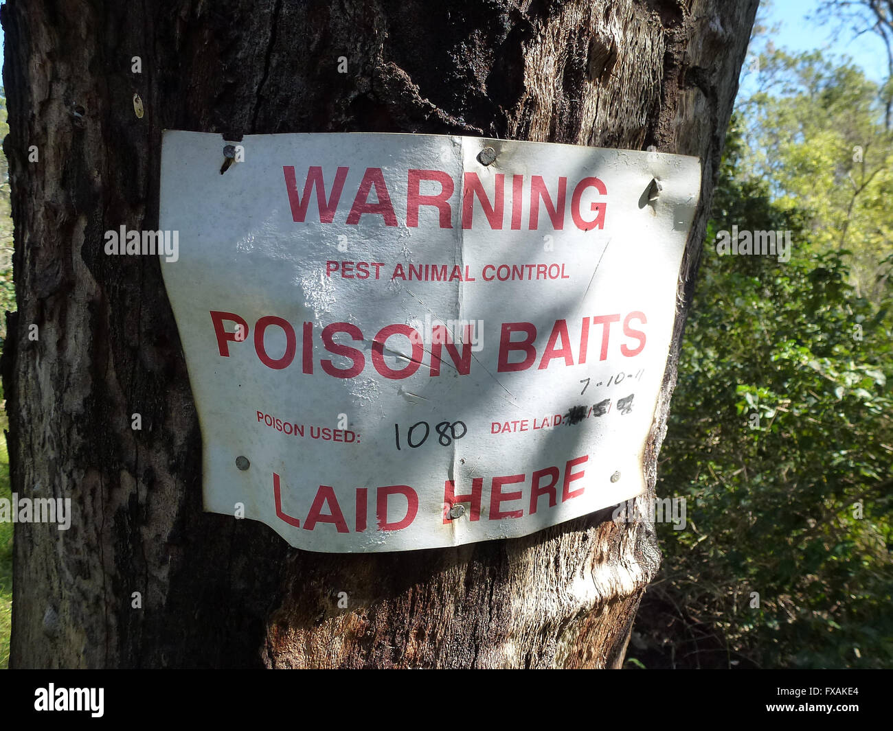 Sign warning of 1080 poison baiting for wild dogs pest animals nailed to tree Stock Photo
