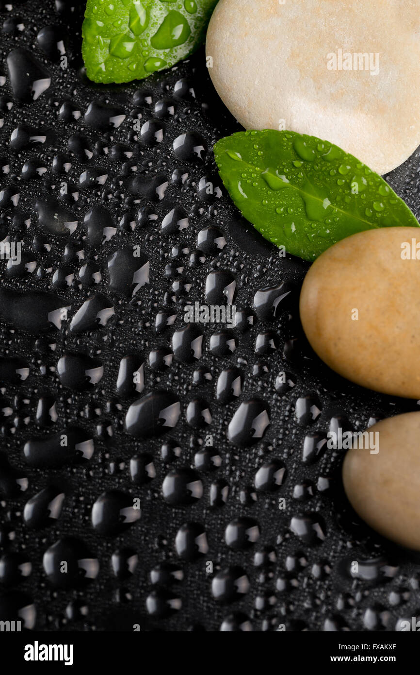 Pebble Stones And Green Leaf With Water Drop Zen Stone On Black Stock Photo Alamy Pebble Stones And Green Leaf With Water Drop Zen Stone On Black Stock Photo Alamy