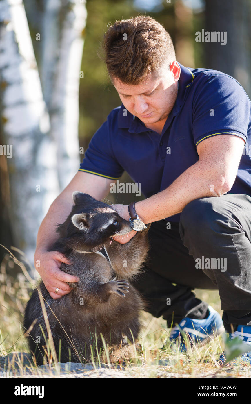 Portrait of a man with raccoon in a forest Stock Photo - Alamy
