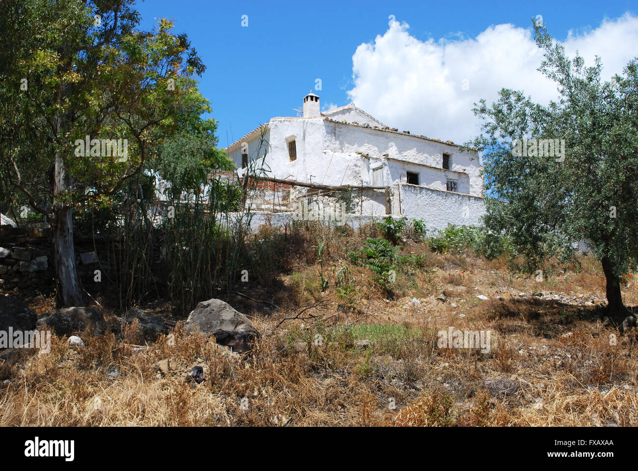Country finca near Rio Gordo Malaga Province, Andalusia, Spain, Western Europe. Stock Photo